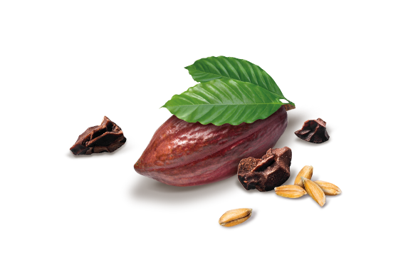 DAR-VIDA BReAk Choco & Cacao Nibs