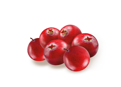 DAR-VIDA BReAk Cranberry & Apple