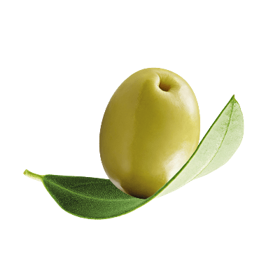DAR-VIDA Olives