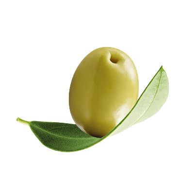 olive-02