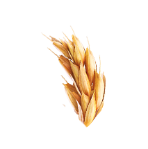Zutaten_Ovomaltine_Weizen_Klein