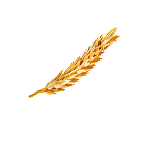 DAR-VIDA Ovomaltine