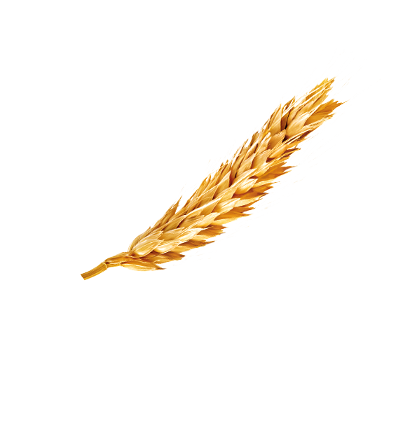 Zutaten_Ovomaltine_Weizen_gross