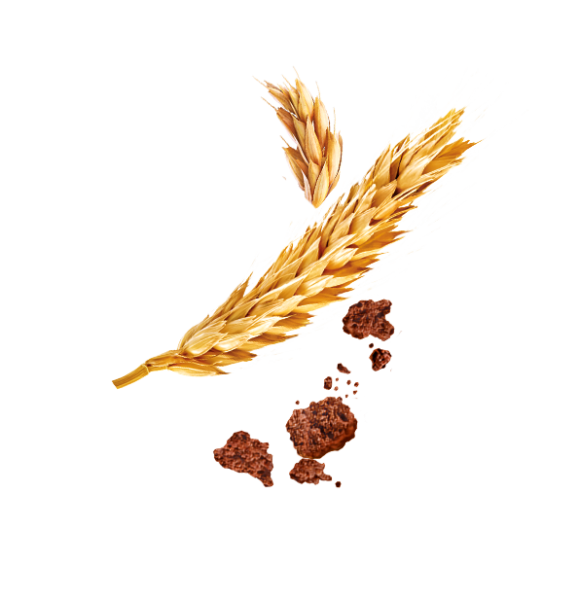 DAR-VIDA Ovomaltine