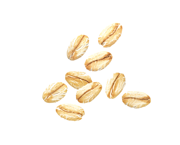 DAR-VIDA Hafer-Apfel